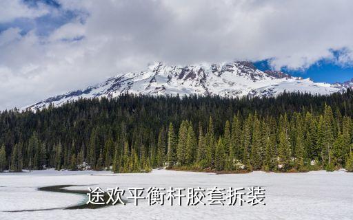 途欢平衡杆胶套拆装