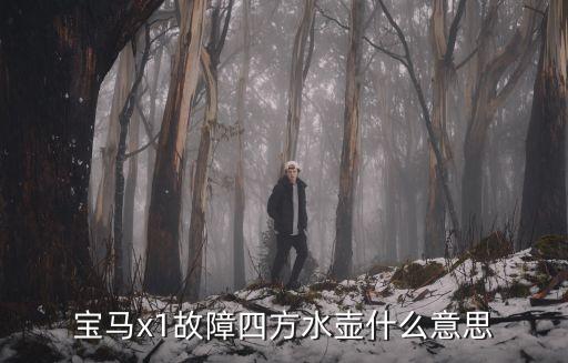宝马x1故障四方水壶什么意思