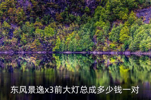 郑州哪里买景逸大灯开关总成，东风景逸x3前大灯总成多少钱一对