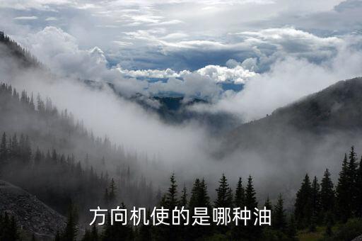 方向机使的是哪种油