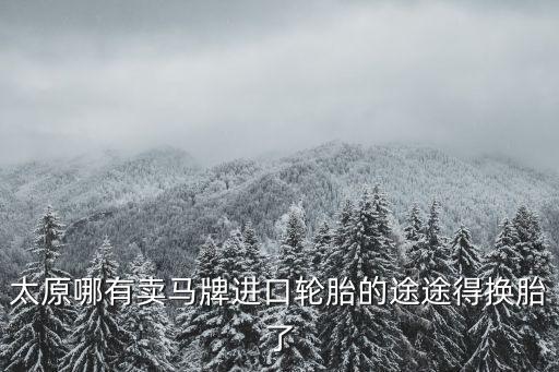 太原哪有卖马牌进口轮胎的途途得换胎了