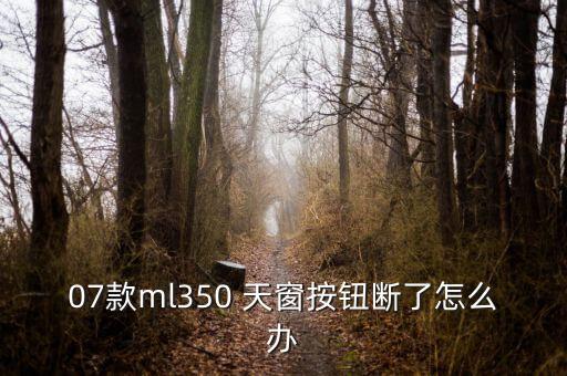 07款ml350 天窗按钮断了怎么办