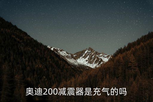奥迪200减震器是充气的吗