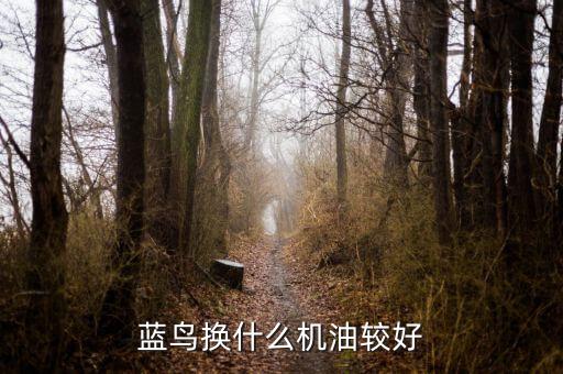 尼桑蓝鸟发动机加什么机油好，蓝鸟换什么机油较好