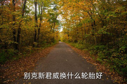 别克新君威换什么轮胎好