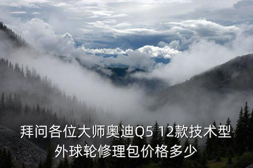 奥迪q5曲轴密封环多少钱，拜问各位大师奥迪Q5 12款技术型外球轮修理包价格多少