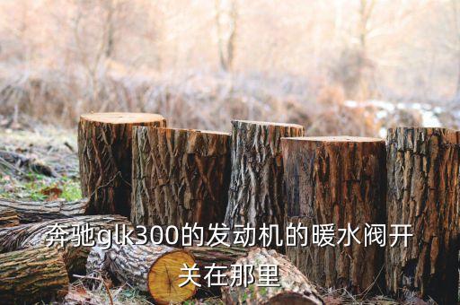 奔驰glk300的发动机的暖水阀开关在那里