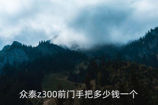 众泰z300前门手把多少钱一个
