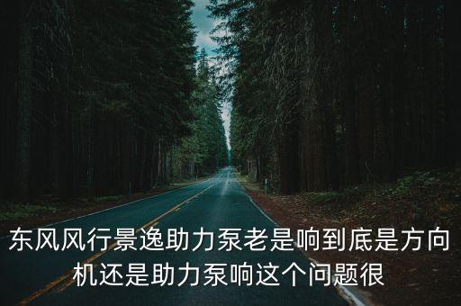 东风标志助理泵跳是什么原因，标志206助理泵嘎嘎嘎响是怎么回事