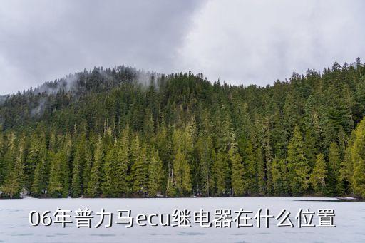06年普力马ecu继电器在什么位置