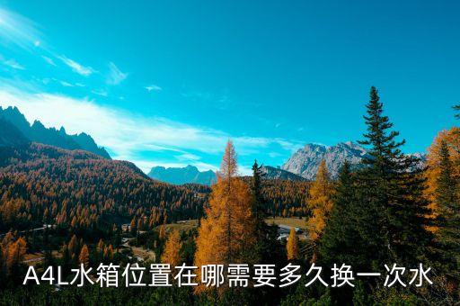 A4L水箱位置在哪需要多久换一次水