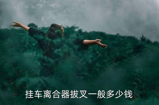 挂车离合器拔叉一般多少钱