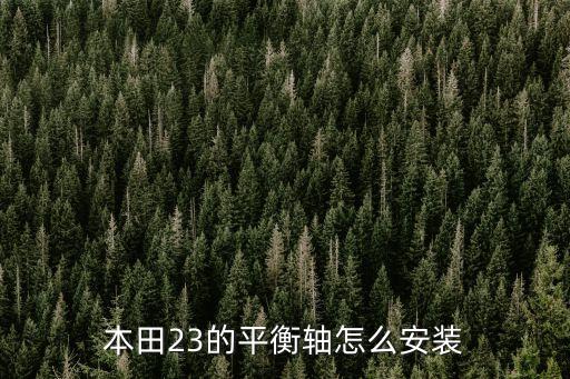 平衡轴怎么装，科帕奇24平衡轴怎样装法急知道的大神帮帮忙