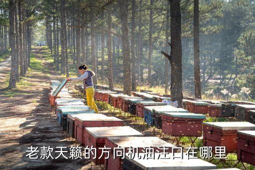 老款天籁的方向机油注口在哪里