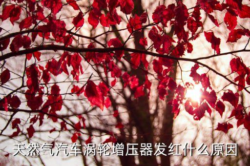 天然气汽车涡轮增压器发红什么原因
