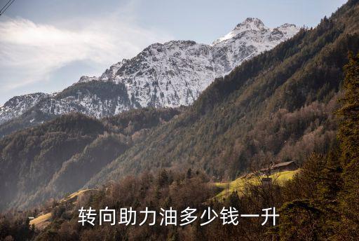 转向助力油多少钱一升