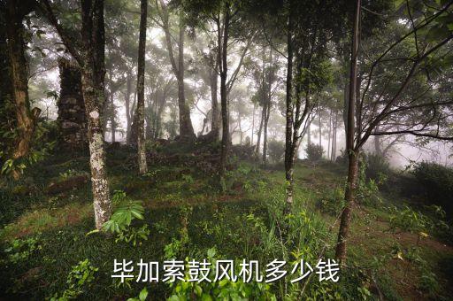 毕加索鼓风机多少钱