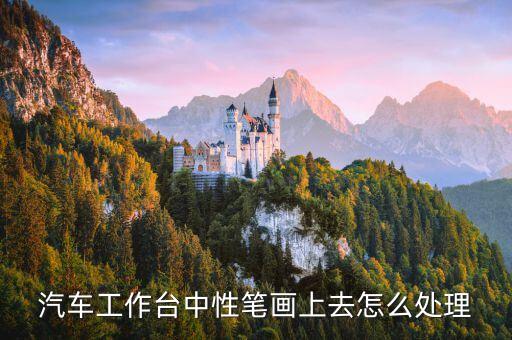 汽车工作台中性笔画上去怎么处理