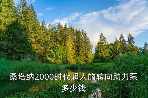 桑塔纳2000方向机多少钱，桑塔纳2000时代超人的转向助力泵多少钱