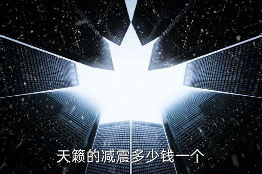 更换天籁减震器多少钱，日产天籁更换后减震多少钱
