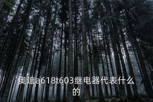 奥迪a618t603继电器代表什么的