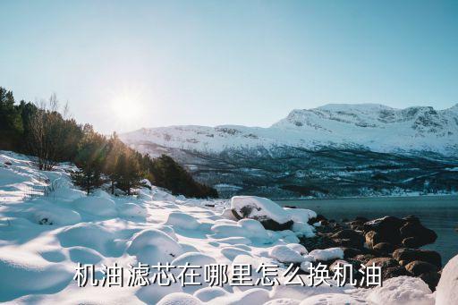 机油滤芯在哪里怎么换机油