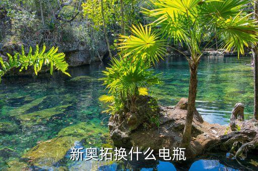新奥拓换什么电瓶