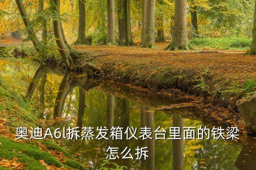 奥迪a6l蒸发箱怎么更换，奥迪A6l拆蒸发箱仪表台里面的铁梁怎么拆