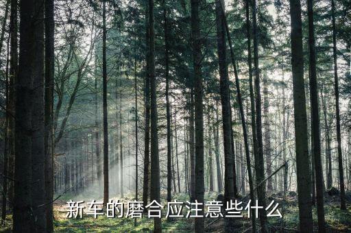 新车的磨合应注意些什么