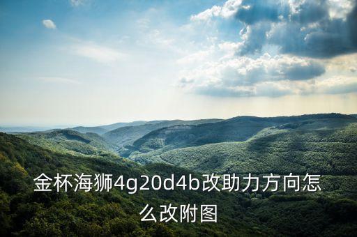 庆铃如何改装助力方向图片，天皇五十铃100P加装助力转向需要改哪里