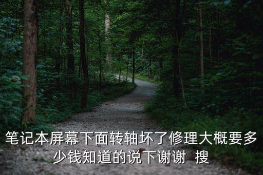 df6s650坏一轴修多少钱，笔记本屏幕下面转轴坏了修理大概要多少钱知道的说下谢谢  搜