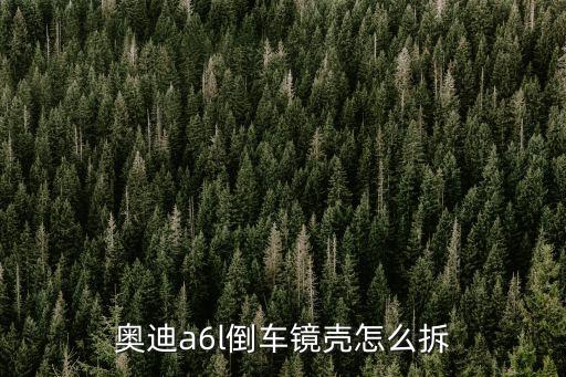 A6后视镜壳子怎么换，新奥迪A6L倒车镜如何更换求步骤 求图