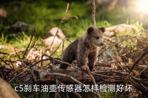 c5刹车油壶传感器怎样检测好坏