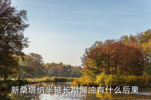 新桑塔纳半轴长期漏油有什么后果