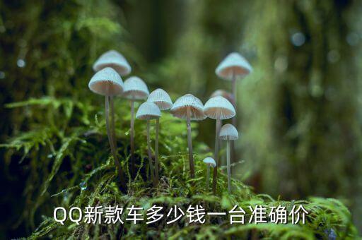 QQ汽车半轴多少钱一个，QQ车的排挡轴大概多少钱