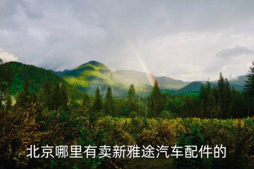 北京哪里卖新雅途配件，北京哪里有卖摩托车配件的