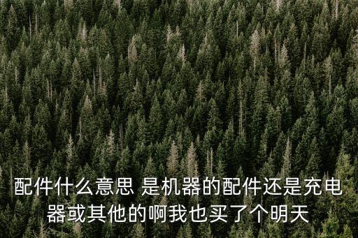 配件什么意思 是机器的配件还是充电器或其他的啊我也买了个明天