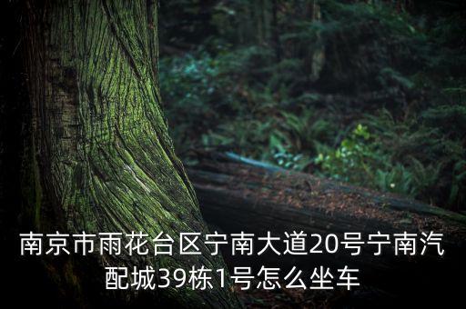 南京市雨花台区宁南大道20号宁南汽配城39栋1号怎么坐车