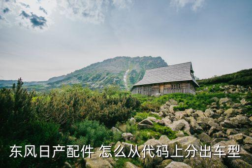 东风日产配件 怎么从代码上分出车型