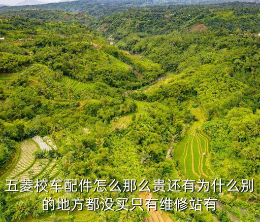 五菱校车配件哪里有，五菱校车配件怎么那么贵还有为什么别的地方都没买只有维修站有