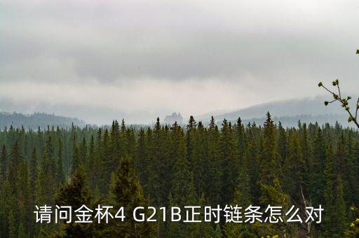请问金杯4 G21B正时链条怎么对