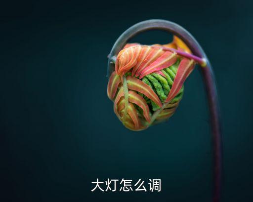 大灯怎么调
