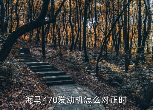 470发动机怎么对正时，海马470发动机怎么对正时
