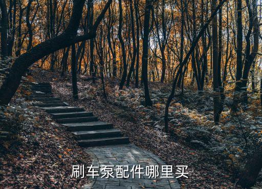 刷车泵配件哪里买