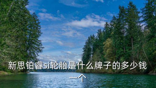 新思铂睿si轮胎是什么牌子的多少钱一个