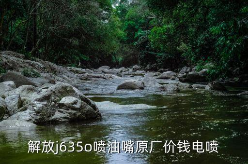 解放j6喷油嘴总成多少钱，解放牌j6电喷车喷油嘴出现问题的原因是什么应该怎样保养