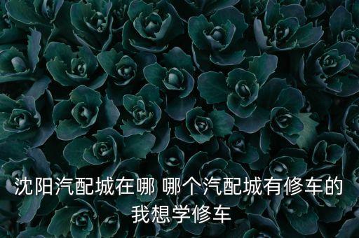 沈阳汽配城在哪 哪个汽配城有修车的 我想学修车