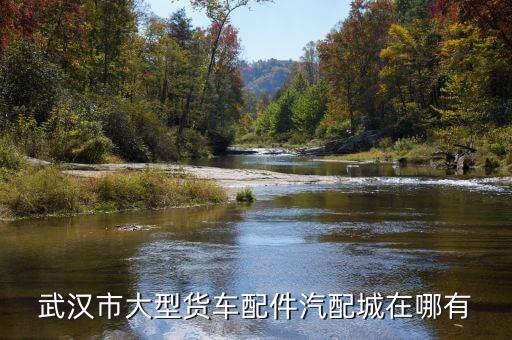 武汉市大型货车配件汽配城在哪有