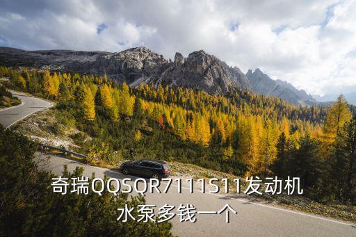 奇瑞a5水泵皮带多少钱，奇瑞汽车的水泵多少钱一个