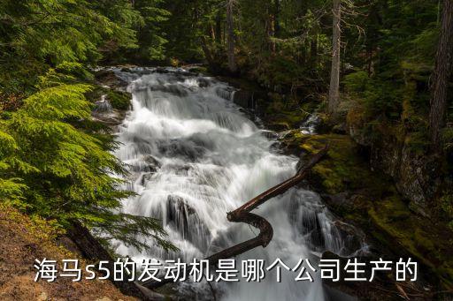 海马发动机是哪里产的，海马发动机是哪产的